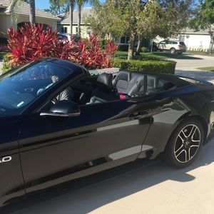 Meet your Posher, Frank